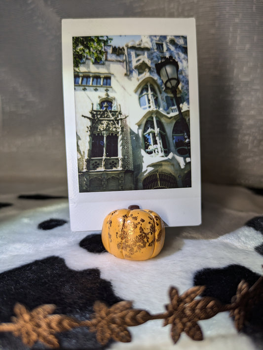 Pumpkin Photo Holder
