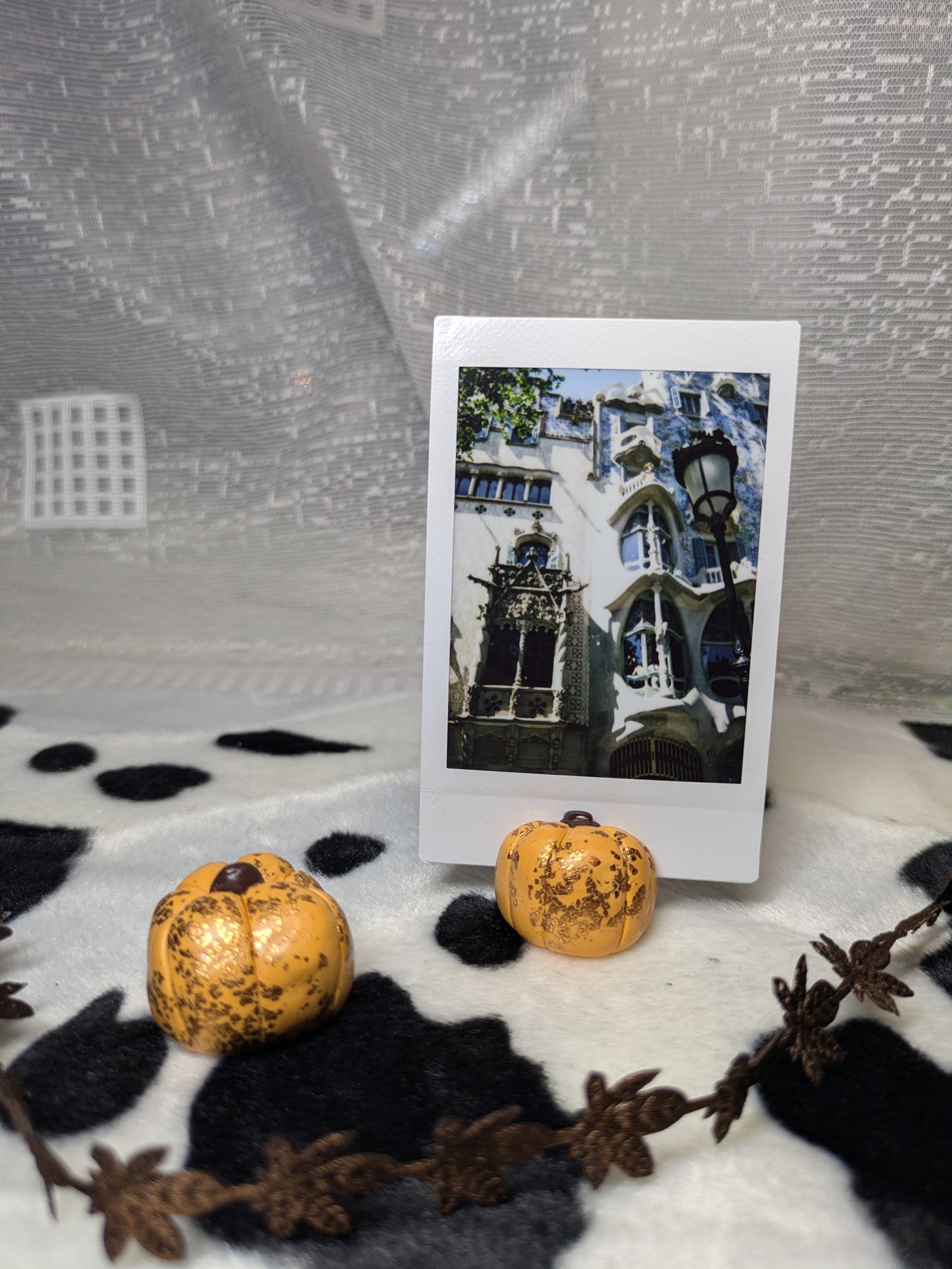 Pumpkin Photo Holder